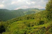 20120630 Kiskoh-Szegyesd nyílt túra 003